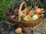 3ème concours Vom Fass Liège - les légumes racines