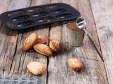 Madeleines à la vanille (au cook expert) et pâte gianduja