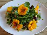 Salade de capucines, épinards, champignons, pesto de feuilles de capucines