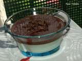 Panacotta menthe / chocolat. (Recettes au Companion ou pas ...)