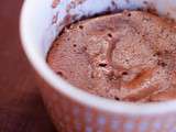 Mug cake double chocolat