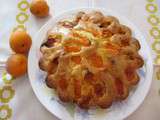 Gateau moelleux aux abricots