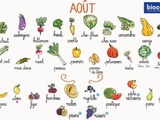 Calendrier des légumes et fruits de saison du mois d’août