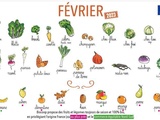 Calendrier des légumes et fruits de saison du mois de février