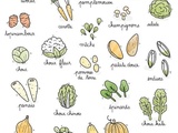 Calendrier des légumes et fruits de saison du mois de février