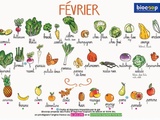 Calendrier des légumes et fruits de saison du mois de février