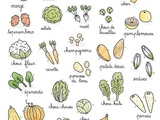 Calendrier des légumes et fruits de saison du mois de janvier