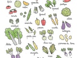 Calendrier des légumes et fruits de saison du mois de juillet