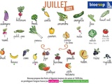 Calendrier des légumes et fruits de saison du mois de juillet