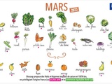 Calendrier des légumes et fruits de saison du mois de mars