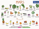 Calendrier des légumes et fruits de saison du mois de mars