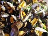 Moules façon marinière à l'Omnicuiseur vitalité {sans gluten}