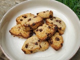 Cookies à la poudre de noisette et pépites de chocolat