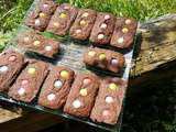 Financiers aux Smarties