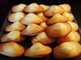 Madeleines au Thermomix