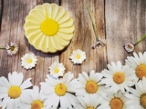 Marguerites Flowers