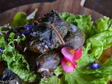 Dolmas à ma façon ou comment farcir des feuilles d'épinards anciens