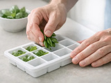 Congeler basilic : 3 méthodes testées pour garder toute la saveur