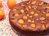 Gâteau au chocolat et abricots