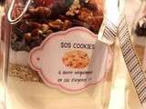 Sos Cookies (cadeau gourmand fait maison !)