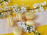 Macarons passion calisson