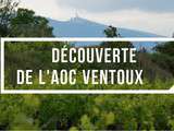 Vins / Road trip sur les terres de l’aoc Ventoux