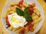 Pasta con tomato crudo e burrata