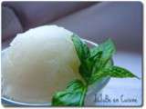 Sorbet menthe fraiche – de JuJuBe