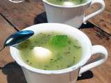 Soupe froide de courgette, menthe et mozarella