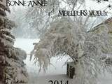 Bonne et heureuse annee 2014