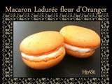 Macaron Ladurée à la Fleur d'Oranger