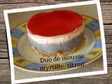 Duo de mousse myrtille citron