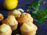 Muffins au citron et au chocolat blanc