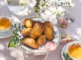 Madeleine à l’orange : une douceur entre tradition et modernité