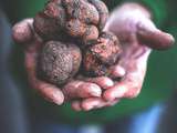 Pâtes fraîches aux truffes