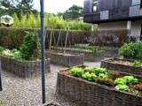 Potager en automne