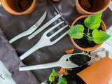 Repiquage des semis de tomates avec les outils Fiskars