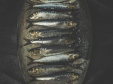 Sardines à l’escabèche Alain Ducasse