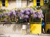 Sérignant-du-comtat, un village ouvert pour les journées aux plantes rares