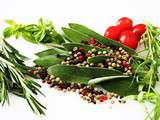 Herbes aromatiques en cuisine