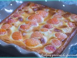 Clafoutis aux abricots