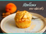 Moelleux aux abricots