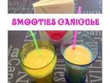 Smootie  Canicule 