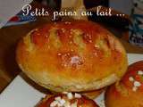 Petits pains au lait salés ou sucrés - Qui Dort Dine