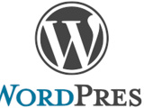 Pour laisser un commentaire sur un blog WordPress