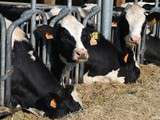 Envie de campagne à la ferme de Viltain