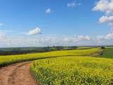 Idées de vacances à la campagne en France