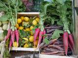 L’Épicerie VéGéTaLe, un coin de nature à Paris