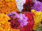 Pak Khlong Talat, marché aux fleurs à Bangkok