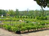 Potager des Princes à Chantilly